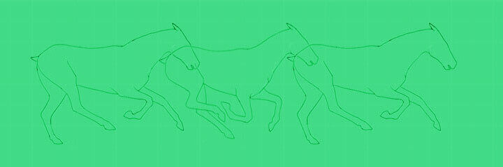 Illustration of a horse running