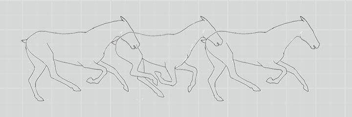 drawing of a horse running in sequence