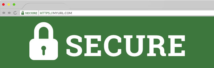 Browser window with secure padlock icon