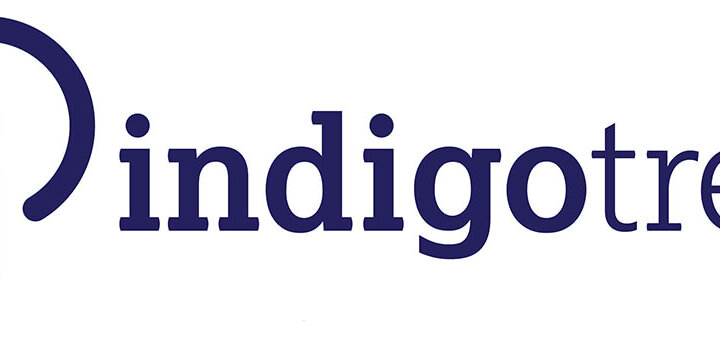 Indigo Tree Logo