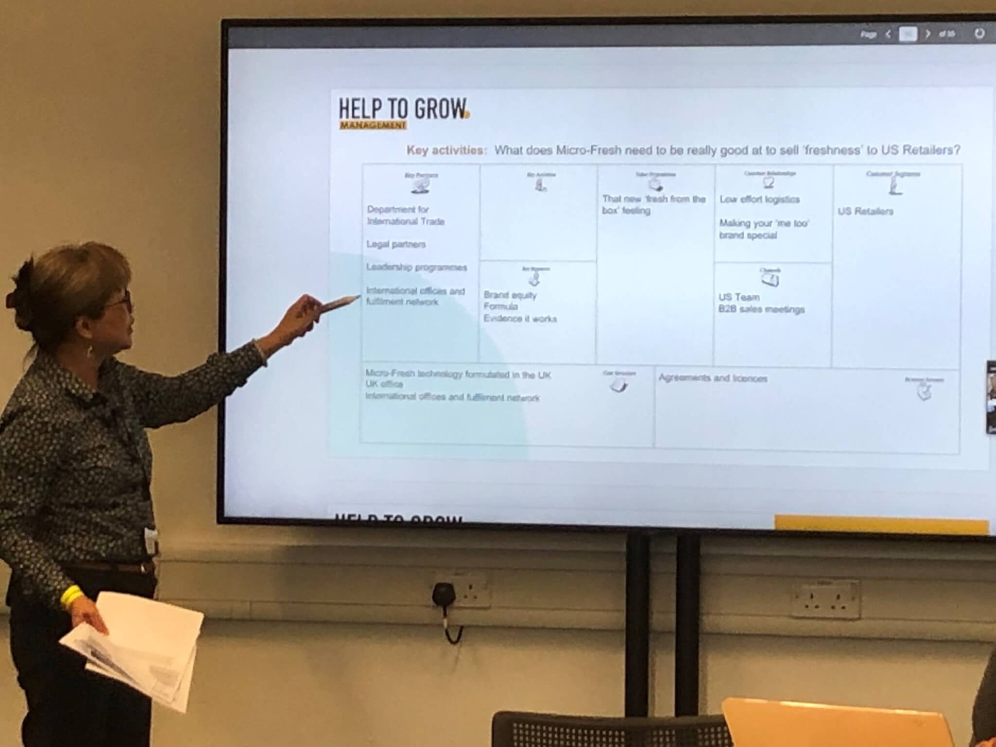 Help to Grow with a Business Model Canvas