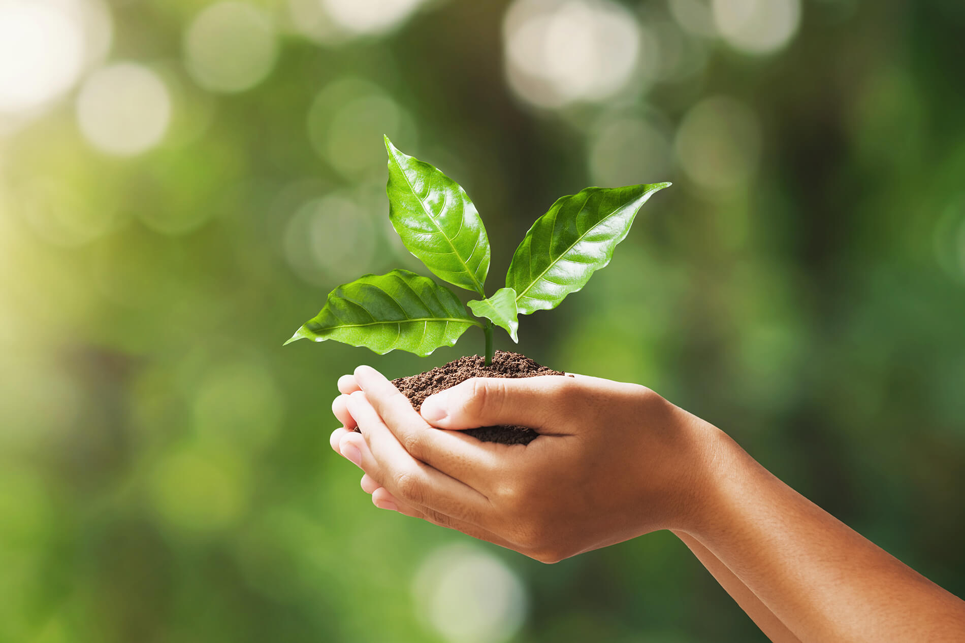 Louise shares sustainability insights on Pinkham Blair’s business growth blog