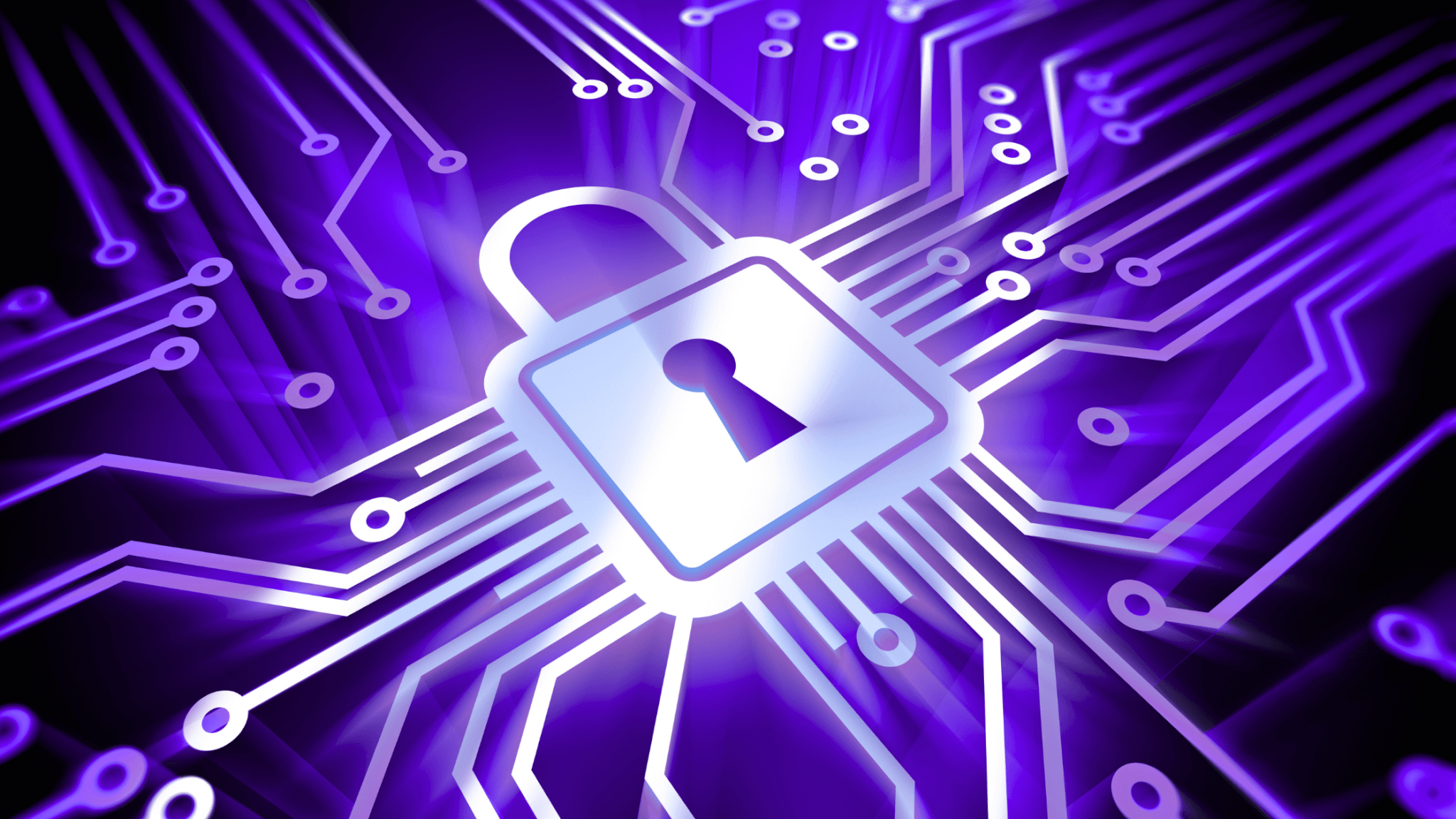 Why Indigo Tree is serious about security with Cyber Essentials